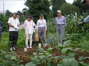 7月13日の作業