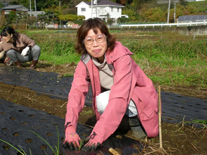 冬作の植え付け