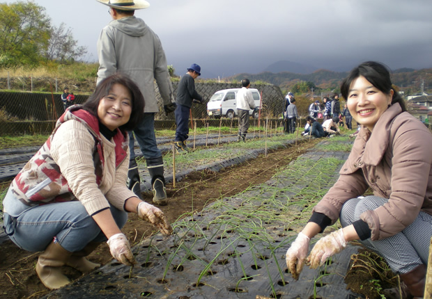 冬作の植え付け